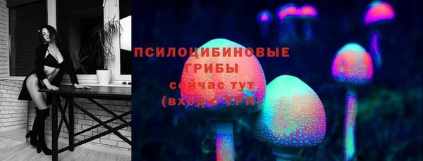 2c-b Лагань