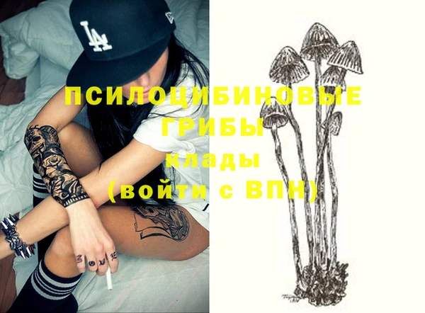 героин Ладушкин