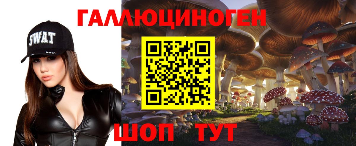 Чапаевск  Галлюциногенные грибы Psilocybine cubensis  Галлюциногенные грибы мицелий  Вход с VPN 